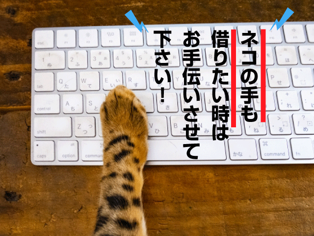 ネコの手も借りたい時はお手伝いさせて下さい!